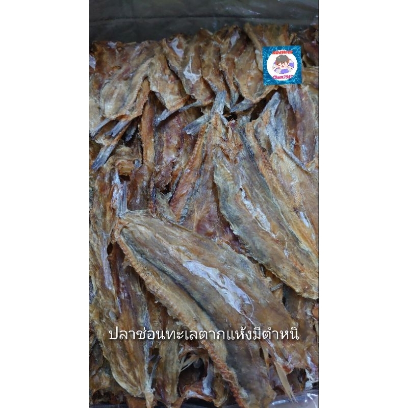 ปลาช่อนทะเลตากแห้งจืด หลุดคัดไซส์น้ำหนัก 200 -500 กรัม