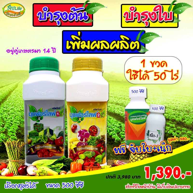 นุชฟอร์ไลฟ์1+นุช2 ขนาด500cc แถมสารจับใบ500cc 1 ขวด+เน็กเล็ก 1 ขวด (เลือกสูตรได้)