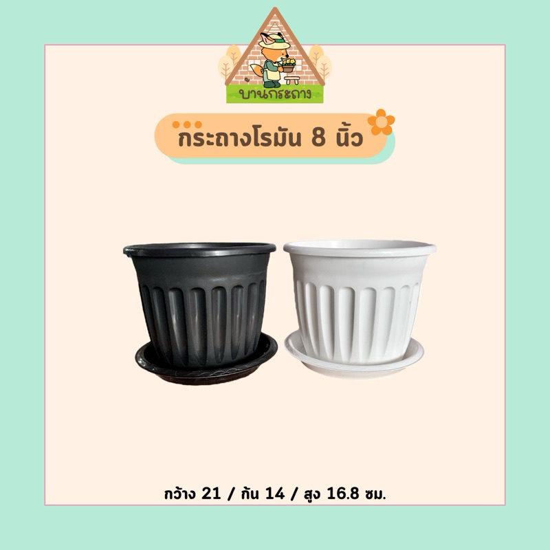 กระถางต้นไม้ลายโรมัน8นิ้ว ฟรีจานรอง กระถางโรมันพลาสติก