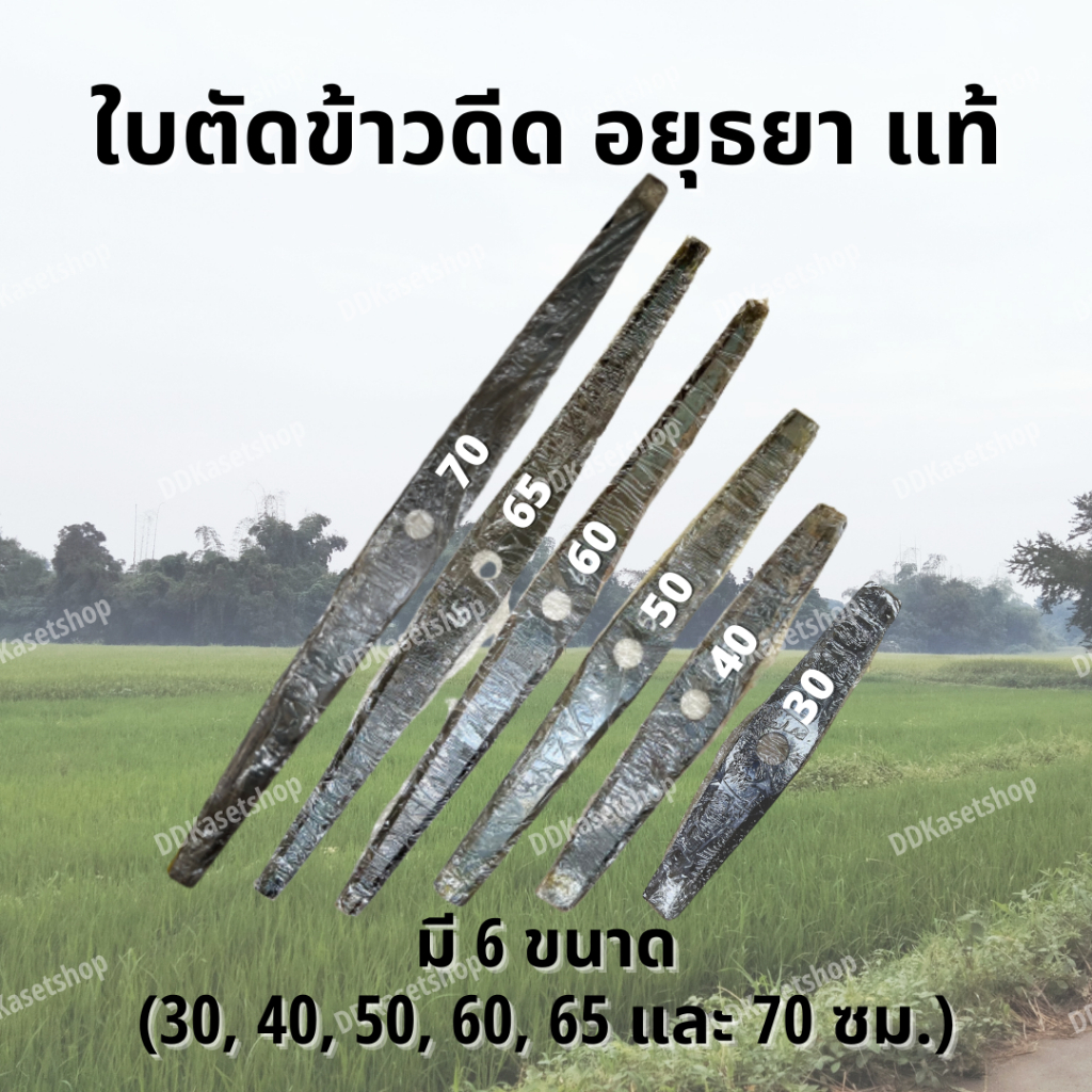 ใบตัดข้าวดีด อยุธยา แท้ แระฟันเคียว ชุบแข็งพิเศษ ไม่บิน ไม่เหิน เวลาตัด ขนาด 12, 16, 20, 24, 26 และ 28 นิ้ว