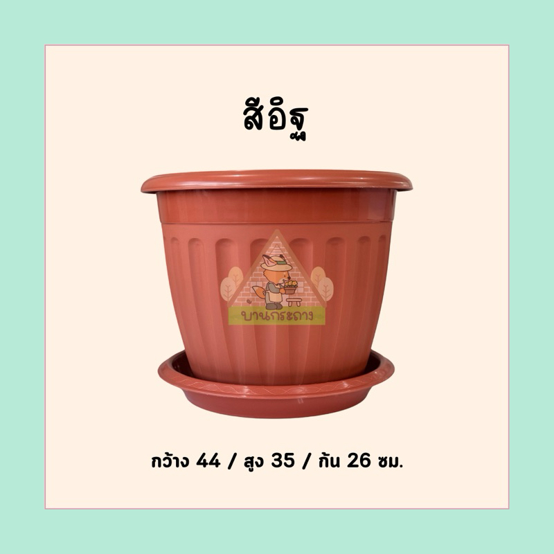 กระถางโรมัน17นิ้วพร้อมจานรอง กระถางทรงโรมัน กระถางน่ารัก รูปที่ 3