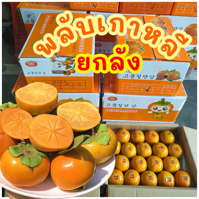 พร้อมส่ง‼️(ยกลัง8kgรวมกล่อง) พลับเกาหลี พลับจีน 📌แพ็คเกจไม่แน่นอน เน้นส่งล็อตใหม่