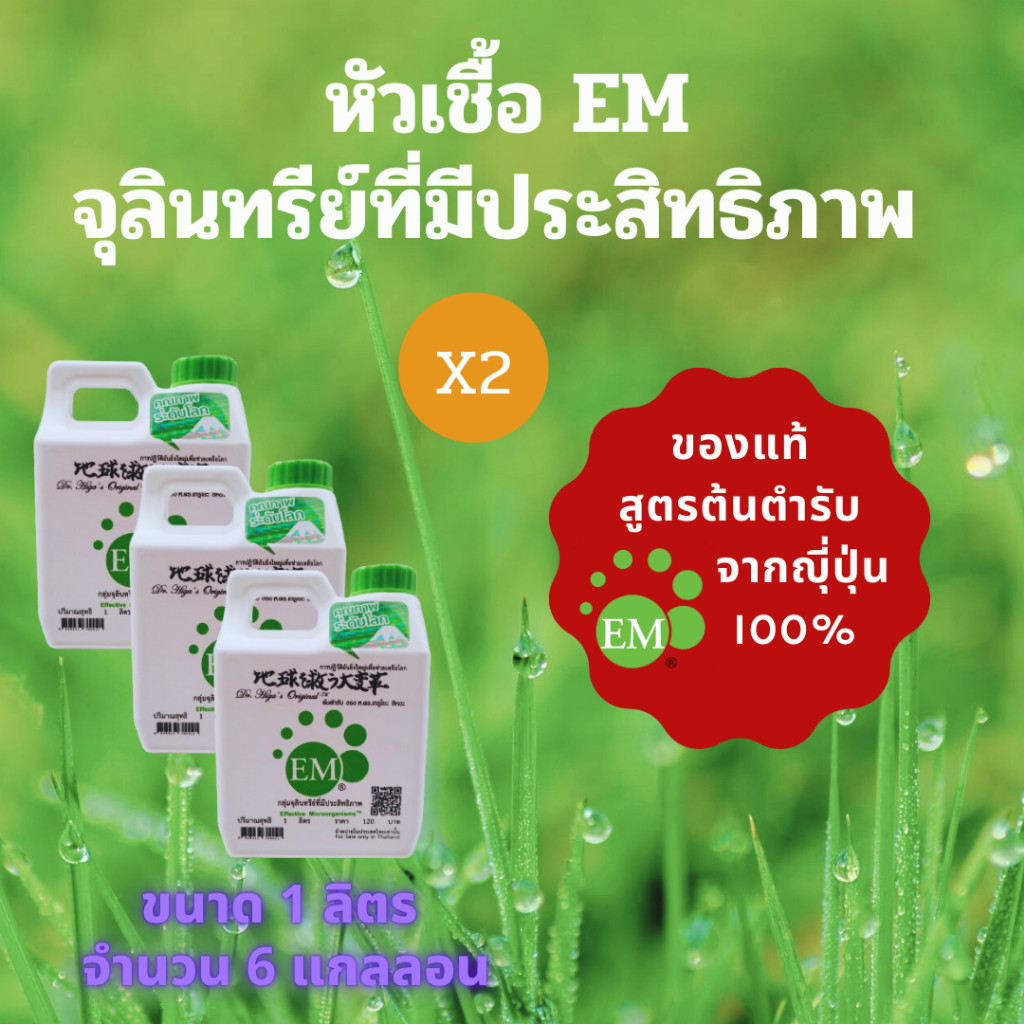 EMRO KANGYONG EM อีเอ็ม หัวเชื้อ สูตรเข้มข้น ต้นตำรับจากญี่ปุ่น  แท้ 100% ขนาด 1 ลิตร/ขวด (จำนวน 6 แกลลอน)