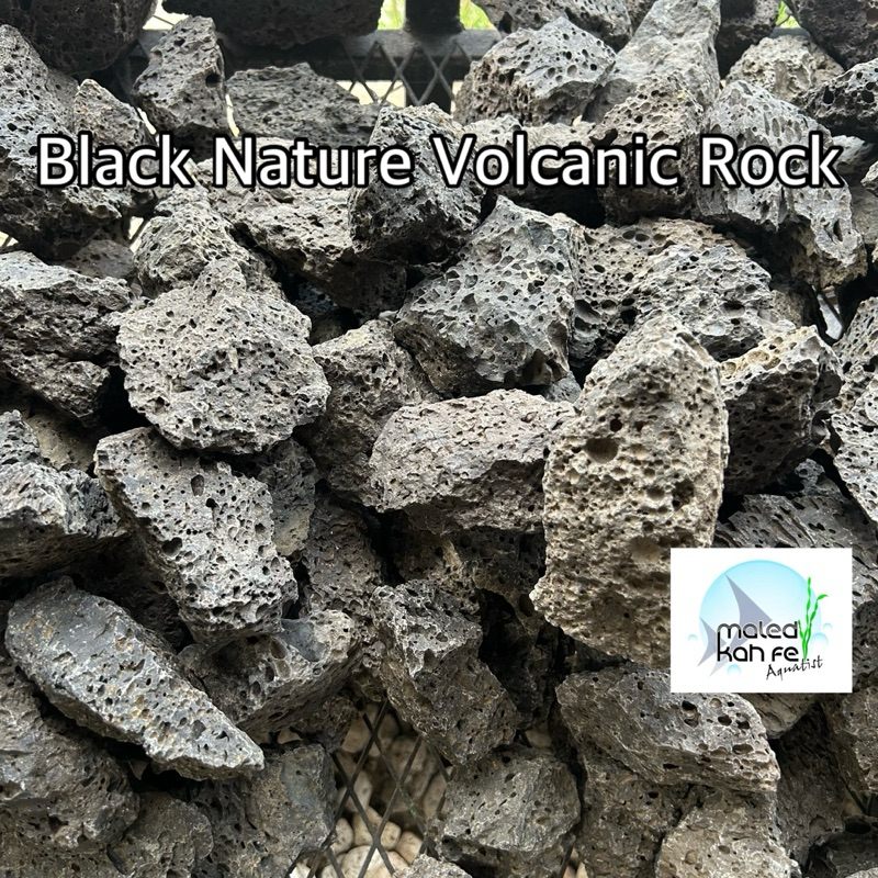 หินภูเขาไฟ สีดำ Black nature volcanic rock หินภูเขาไฟสี ดำมีรูพรุน lava ใช้จัดตู้ปลาตู้ไม้น้ำ ไม่มีอันตราย ลาวา larva