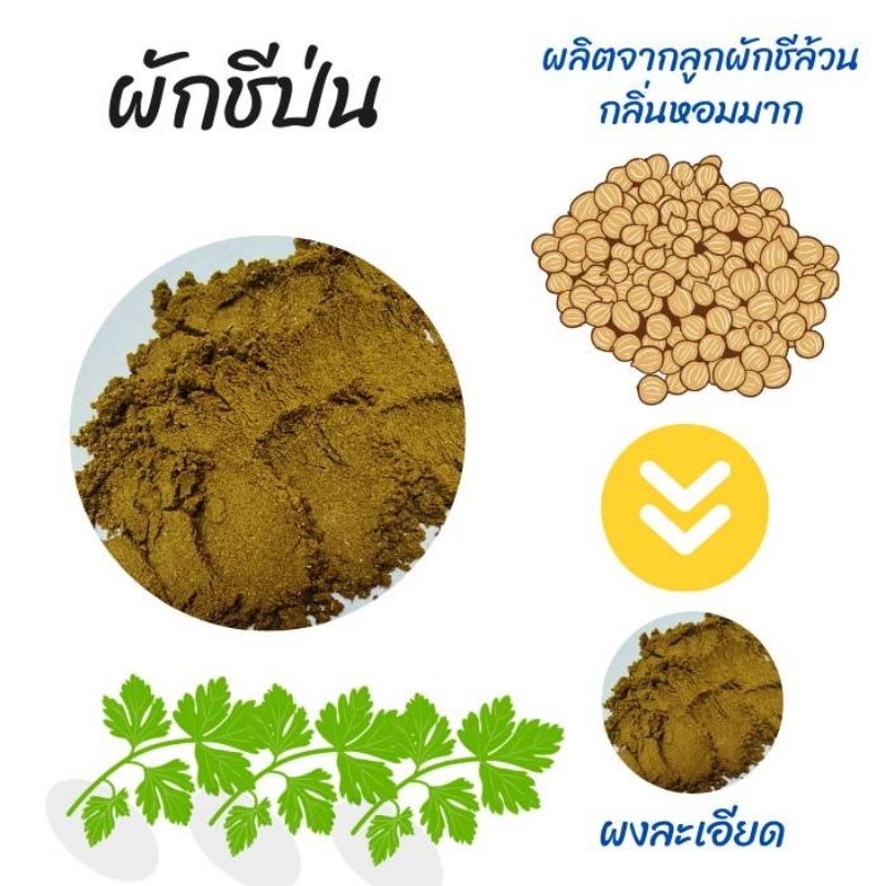 ผักชีป่น  เม็ดผักชีป่น ขนาด 50 กรัม