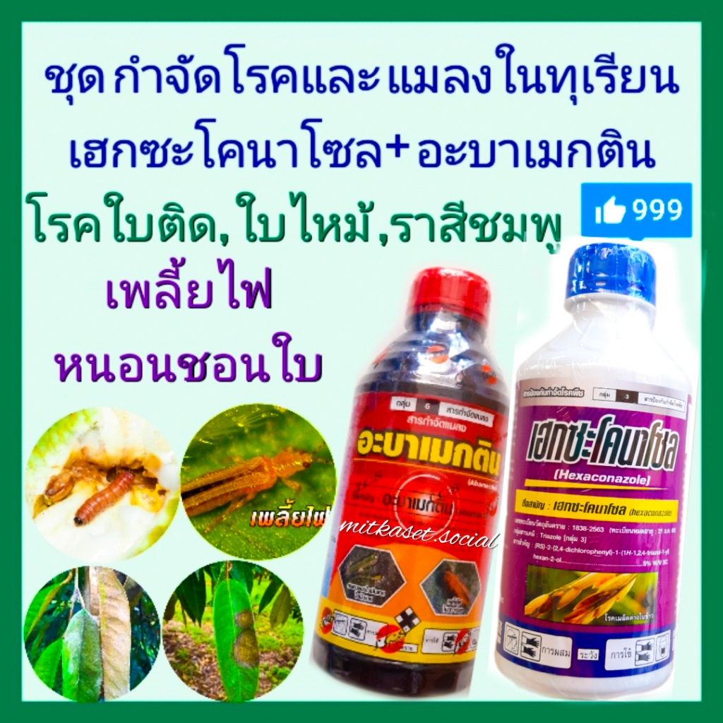 ชุด กำจัดโรคและแมลงในทุเรียน เฮกซะโคนาโซล 1ลิตร+ อะบาเมกติน 1 ลิตร กำจัดโรคใบติด ใบไหม้ หนอนเจาะ เพลี้ยไฟ เพลี้ยแป้ง