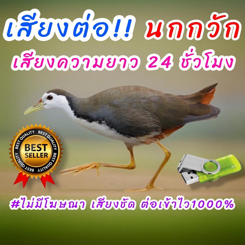 เสียงนกกวัก เสียงต่อนกกวัก เสียงนกไก่นา ต่อเข้าเร็วUSBแฟลชไดร์ฟเสียงต่อนกกวัก ชั