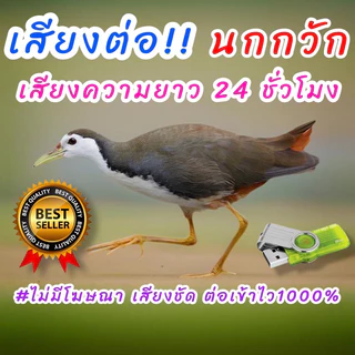 เสียงต่อนกกวัก เสียงนกกวัก เสียงนกไก่นา ต่อเข้าเร็วUSBแฟลชไดร์ฟเสียงต่อนกกวัก ชัด100% ไม่มีโฆษณาแทรก