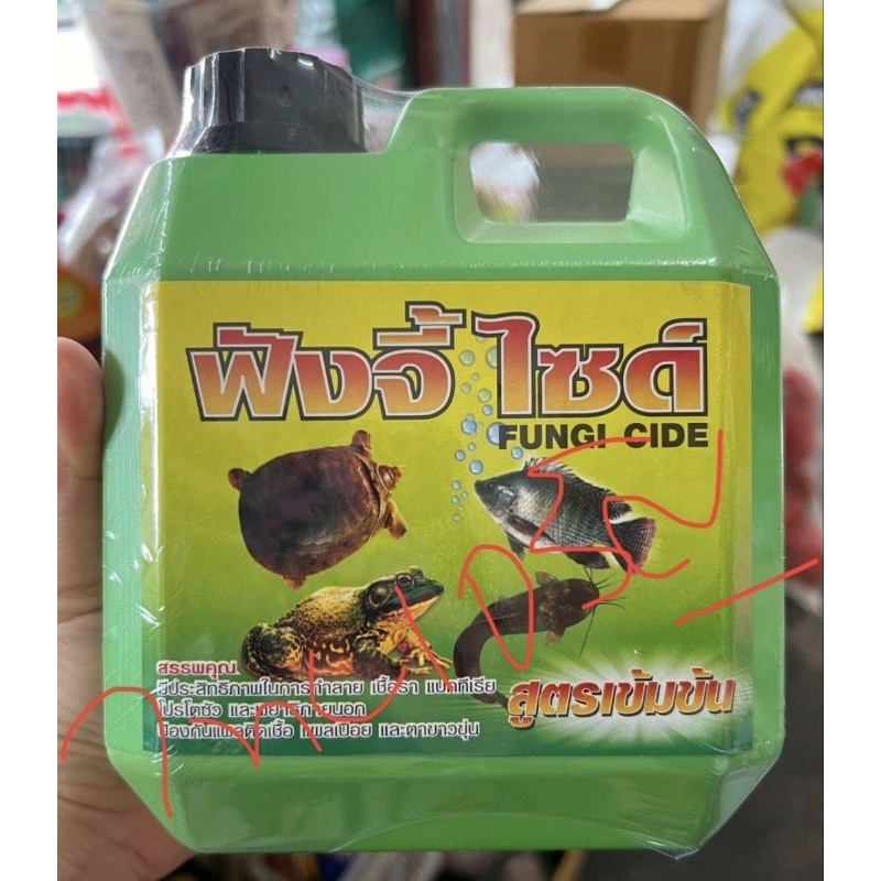 ￼ฟังจี้ไซด์ สูตรเข้มข้น ทำลายเชื้อรา แบคทีเรีย โปรโตซัว