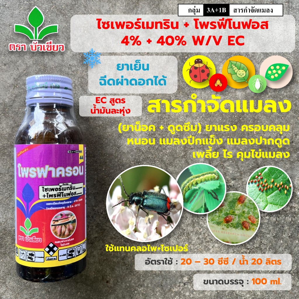 โพรฟาครอน (ไซเพอร์เมทริน+โพรฟีโนฟอส) *สูตรเย็น ขนาด 100 ml. สารกำจัดแมลงชนิด ดูดซึม และน๊อคฆ่า คุมไข่ ได้ทุกหนอน ทุกแมลง