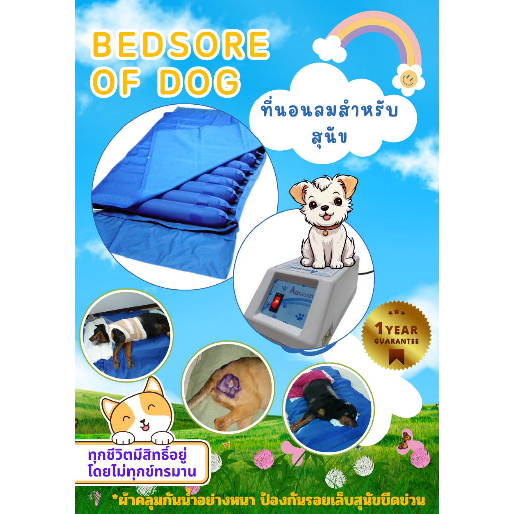 ( ศูนย์ไทย ) ที่นอนลมสำหรับสุนัข 11 ลอน มีการรับประกัน *พร้อมส่ง