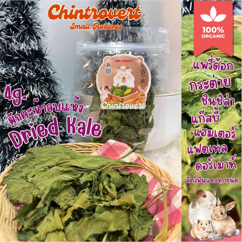 Chintrovert ✨| Dried Kale คะน้าอบแห้ง 2g. | กระต่าย ชินชิล่า แก็สบี้ แฮมเตอร์ แฟตเทล ดอร์เมาท์