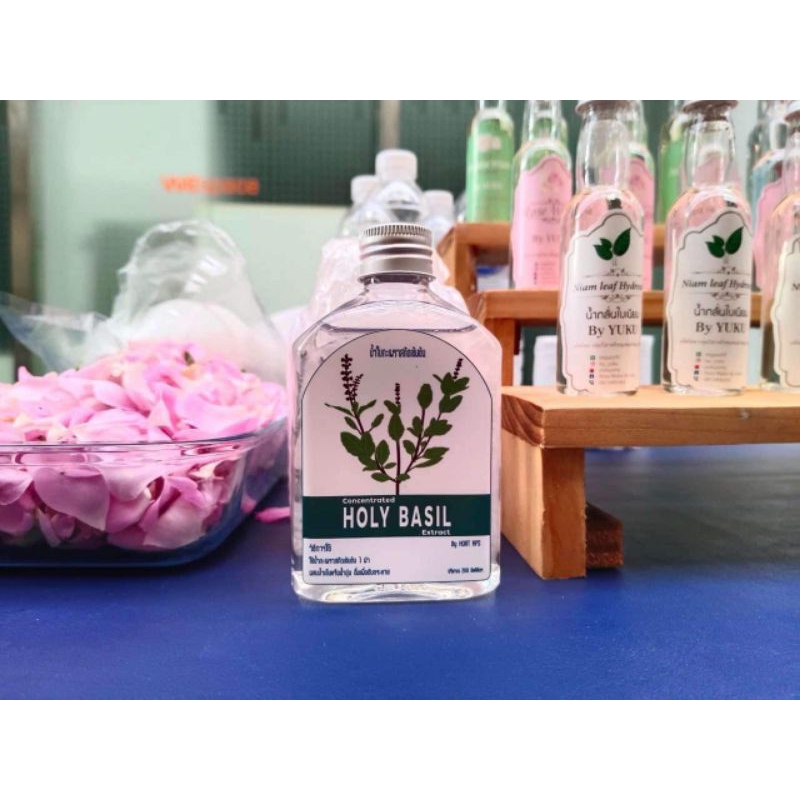 น้ำกลั่นใบกะเพรา (ไม่ใช่กลิ่นสังเคราะห์) Concentrated Holy Basil Extract กลิ่นกะเพรา