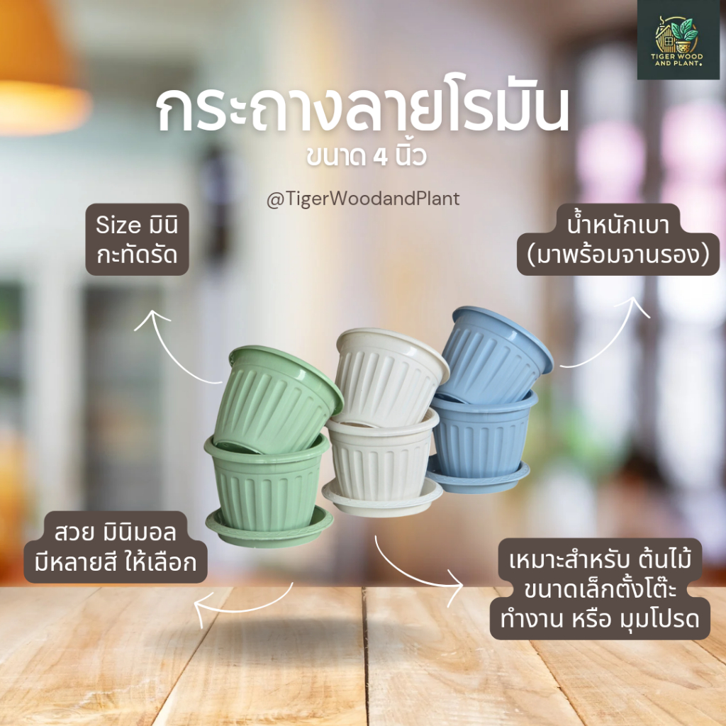กระถางต้นไม้ โรมัน ขนาด  4 นิ้ว (พร้อมจาน)