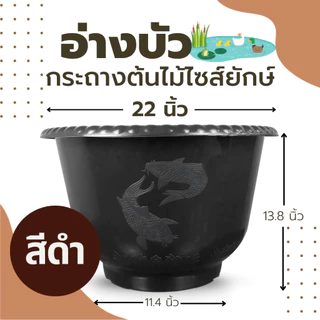 กระถางต้นไม้ไซส์ยักษ์ สีขาว อ่างบัวพลาสติก แบบหนา อ่างเลี้ยงปลา อ่างเลี้ยงบอล อ่างเลี้ยงกล้วย อย่างดี