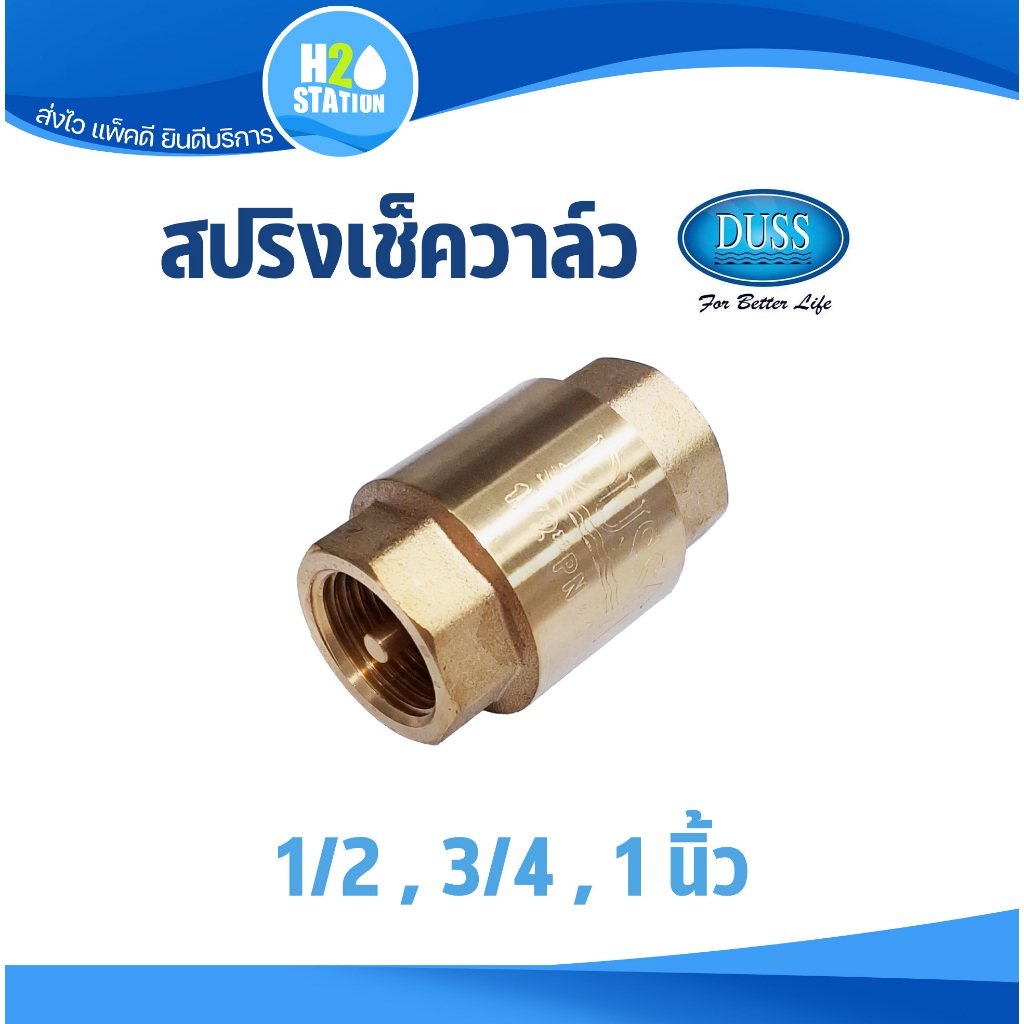 สปริงเช็ควาล์ว (ทองเหลือง) DUSS : 1/2 (4 หุน) , 3/4 (6 หุน), 1 นิ้ว วาล์วกันย้อน ดัส
