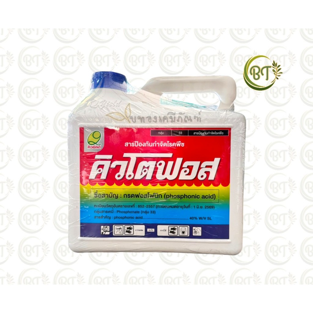 ขนาด 5 ลิตร (แกลลอน) คิวยีลด์ คิวโตฟอส บาสโตน ฟลอริเจน เอ็มบี จิโอลา เมกาโฟล