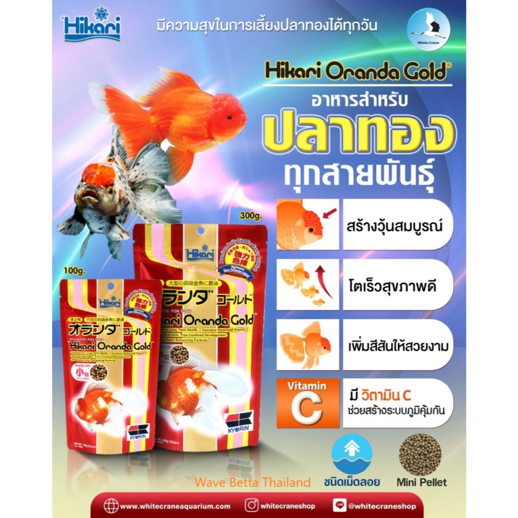 [ 100g / 300g ] Hikari Oranda Gold อาหารปลาทอง ชนิดลอยน้ำ