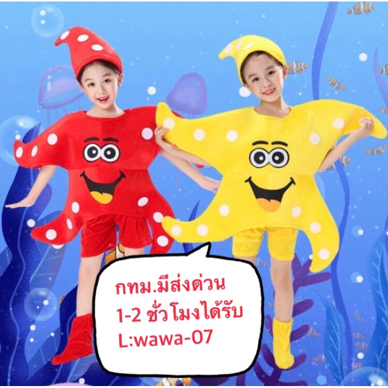 ชุดปลาดาว ชุดธีมสัตว์ทะเล ชุดแฟนซีสัตว์ มาสคอต ( เช็คสต๊อกสินค้าก่อนสั่งซื้อและโอนเงิน)