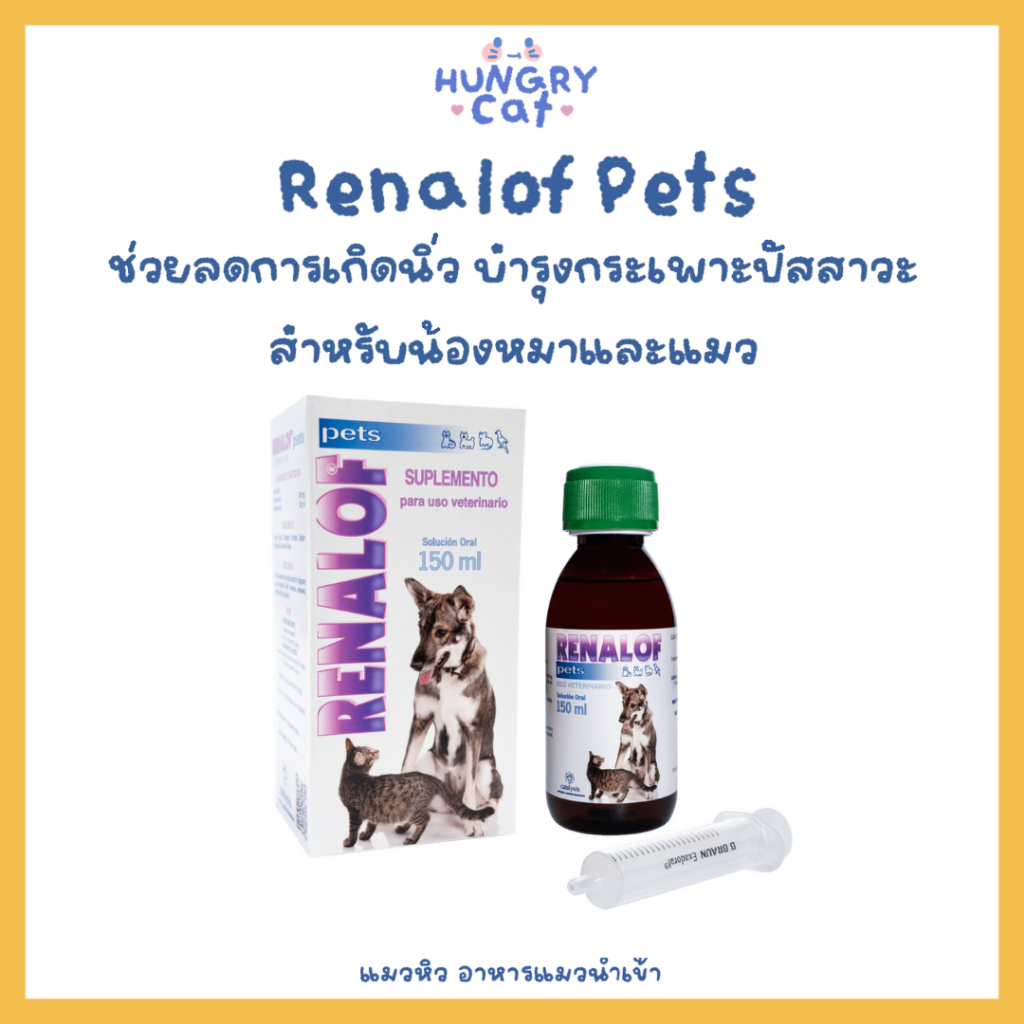 [พร้อมส่ง❗️] Renalof Pets รีนาลอฟ เพ็ทส์ ช่วยลดการเกิดนิ่ว บำรุงกระเะพาะปัสสาวะ 30 ml✨| แมวหิว