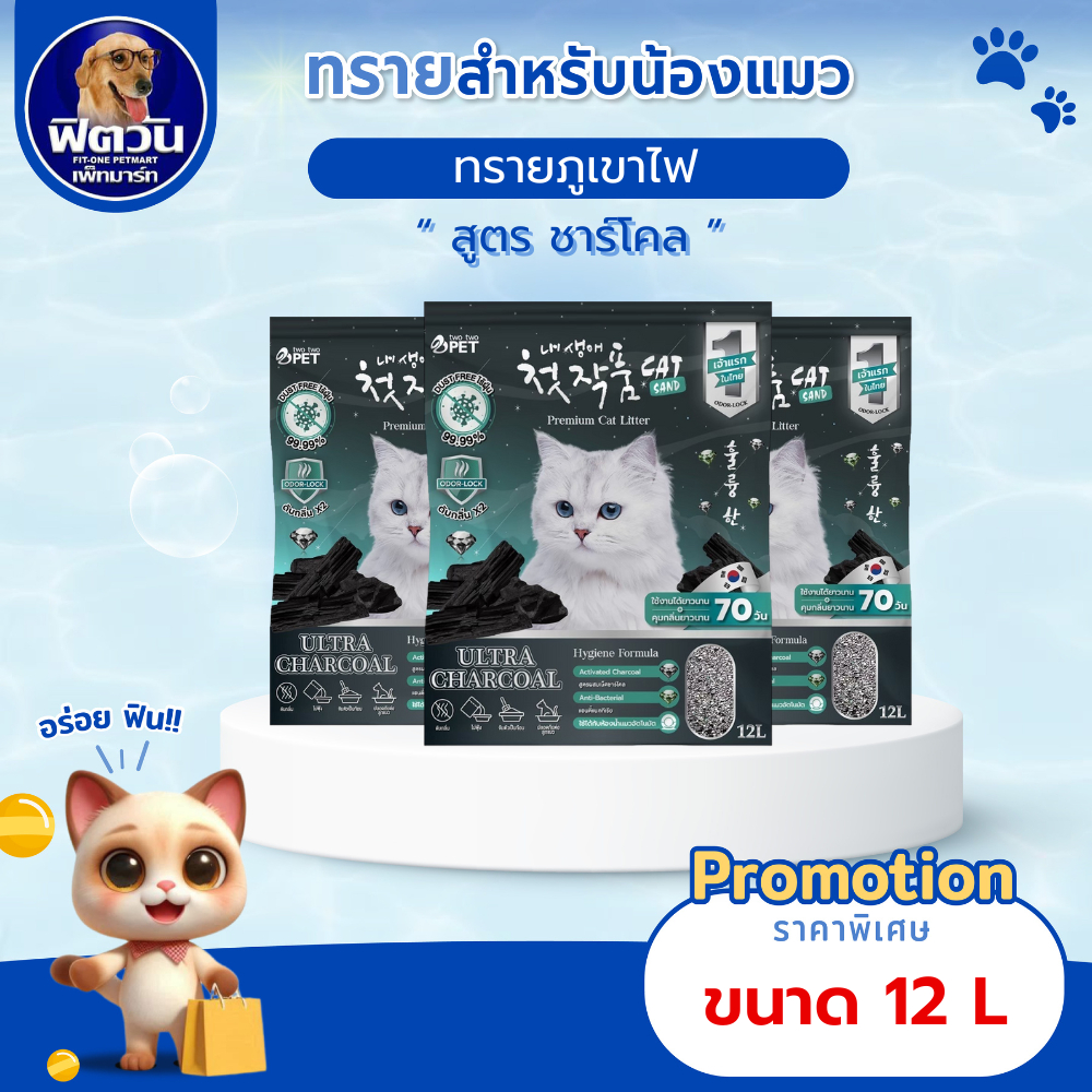 TwoTwo Pet ทรายภูเขาไฟเกาหลี 12 ลิตร กลิ่นชาร์โคล