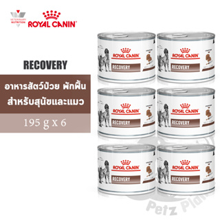 RECOVERY CAN อาหารสำหรับสุนัขและแมวป่วย/พักฟื้น/หลังผ่าตัด (ชนิดกระป๋อง) ขนาด195กรัม x 6กระป๋อง