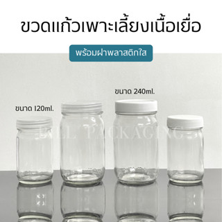 (2ขนาด) ขวดเพาะเลี้ยงเนื้อเยื่อพร้อมฝาขนาด 120ml.และ 240ml. (Tissue Culture Bottle) [รหัสขวด:TG48.TG71]