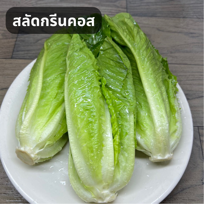 🌱เมล็ดพันธุ์สลัดกรีนคอสถูกสุด 9 บาท🌱 100 เมล็ด10 เเถม2คละได้📌