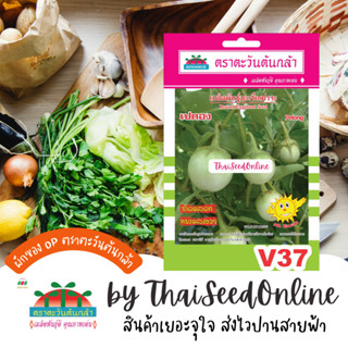 ADV ซฟ เมล็ดพันธุ์ มะเขือเปราะ เปตอง ตราตะวันต้นกล้า V37