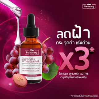 Sale❌❌❌เซรั่มลดฝ้า Plantnery Grape Seed Serum 30ml. Arbutin Serum เซรั่ม อาบูตินสารสกัดเมล็ดองุ่น