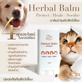 Herbal Balm บาล์มบำรุงผิวสัตว์เลี้ยงทาอุ้งเท้า ข้อศอก จมูกและผิวแตกแห้งกร้านในสุนัข แมว สัตว์เลี้ยงอื่นๆปลอดภัยเลียได้