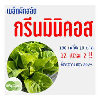 เมล็ดสลัด กรีนมินิคอส 100 เมล็ด 10 บาท งอกดีมีคู่มือในการปลูก