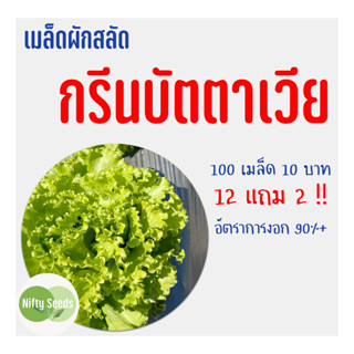 เมล็ดสลัด กรีนบัตตาเวีย 100 เมล็ด 10 บาท งอกดีมีคู่มือในการปลูก