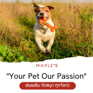 MAPLE'S ของเล่นหมา สุนัข เเมว สำหรับสัตว์เลี้ยง กระดูกหมา T-bone toys dog cat เมเปิ้ล maple