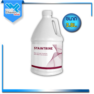 น้ำยากำจัดสนิม สระว่ายน้ำ Staintrine