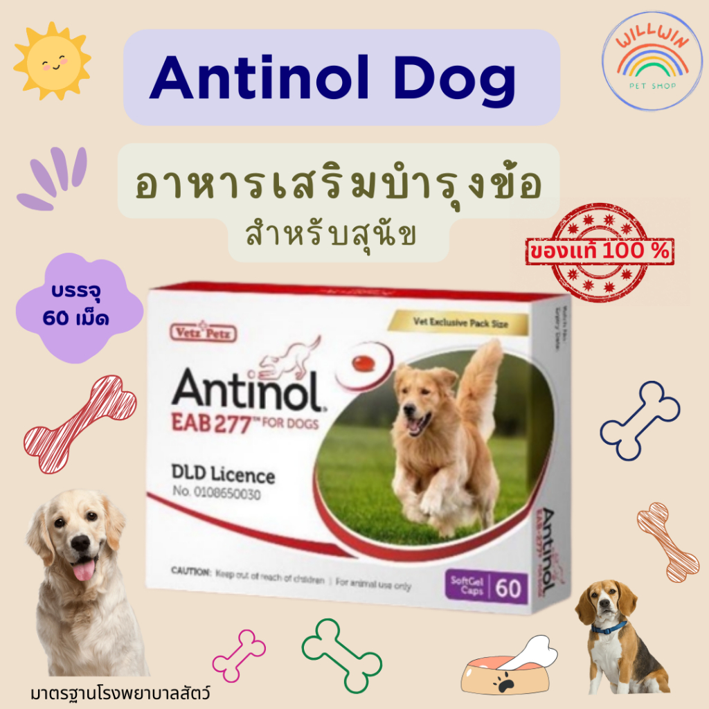 Antinol Dog อาหารเสริมบำรุงข้อ สำหรับสุนัข (1 กล่อง มี 60 เม็ด)