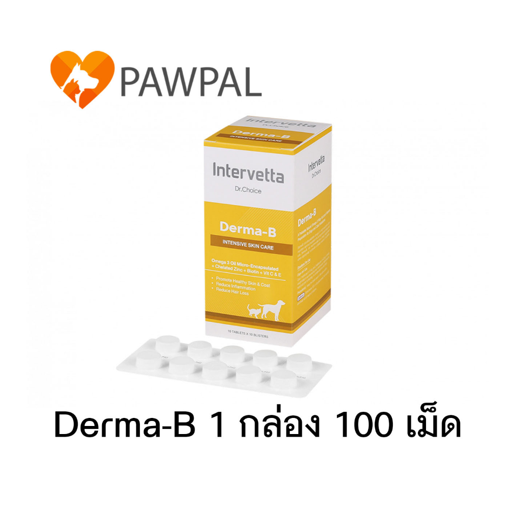Dr. Choice Derma-B 🔥Exp.2027 Intervetta บำรุงผิวหนัง เส้นขน สุนัข แมว skin supplement dog cat