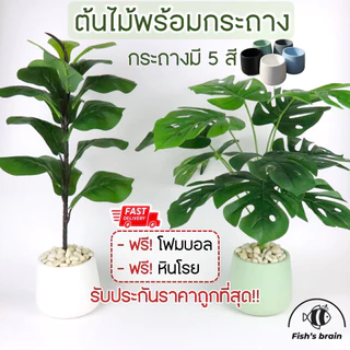 ต้นไม้ปลอม มินอมอล ต้นไม้ปลอมเล็ก สำหรับตกแต่งบ้านและสวน