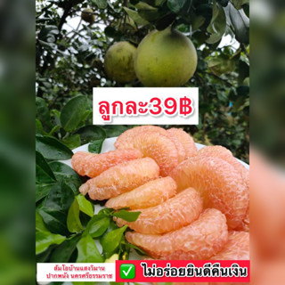 ส้มโอแสงวิมาน ปากพนัง หวานมากรับประกันความอร่อย