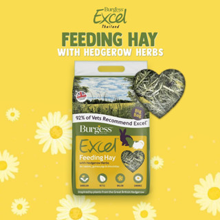 Burgess Excel Feeding Hay with Hedgerow Herbs 3 kg.