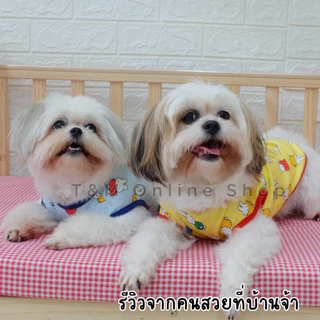 เสื้อยืดสัตว์เลี้ยง เสื้อสัตว์เลี้ยง ผ้าCotton ลายกระต่าย ลายหมี ผ้ายืดใส่สบาย ใส่นอนแอร์ได้ ส่งจากไทย T-009