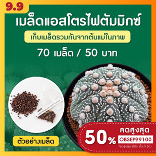 เมล็ดแคคตัส แอสโตรมิกซ์ ชุดล่ะ 70+ เมล็ด (Astrophytum Mix)