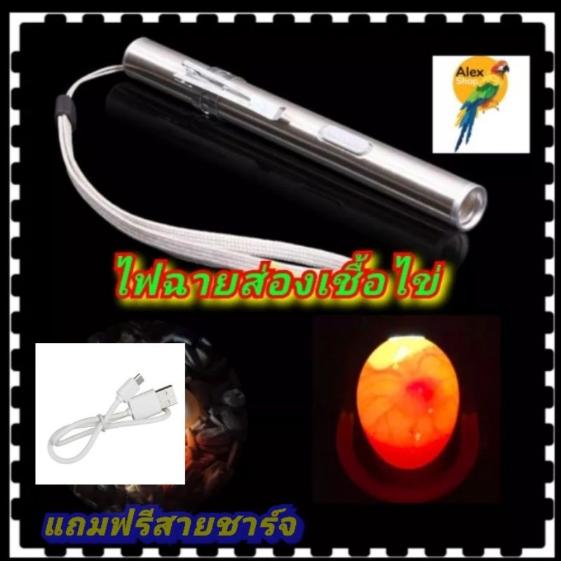 พร้อมส่งในไทย ไฟฉายส่องเชื้อไข่ ไข่นก ไข่ไก่ ไฟฉายพกพา LED รุ่นใหม่ น้ำหนักเบา