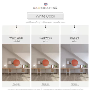 TOA เฉดสี 21001 Shield-1 ภายนอก 9 ลิตร ถังใหญ่ ทาได้เยอะ สีทาภายนอก สีทาภายใน จับคู่ลงตัว เกรดสูงสุดของ TOA