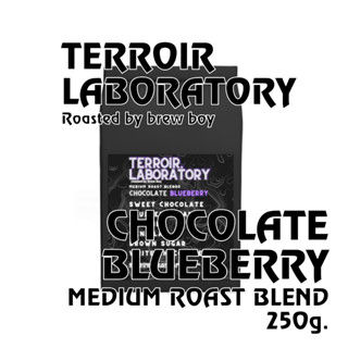 เมล็ดกาแฟคั่ว "Chocolate Blueberry" 250 กรัม Terroir Lab. by Brew Boy