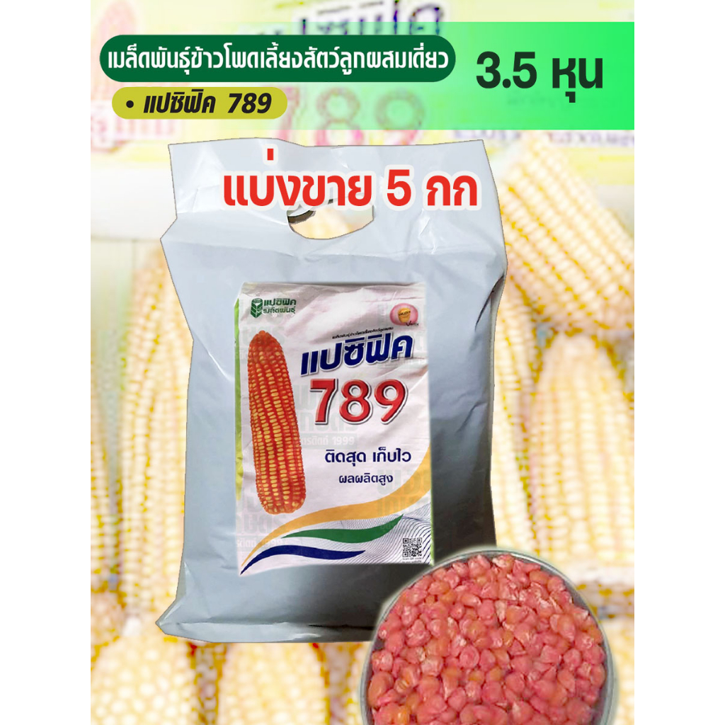 เมล็ดพันธุ์ ข้าวโพดเลี้ยงสัตว์ 789แปซิฟิค 3.5 หุน แบ่งขาย 5 กก