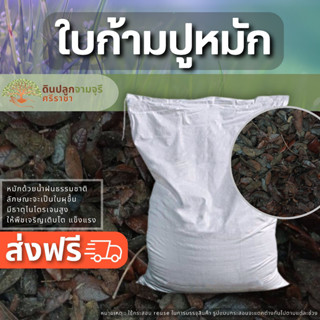 (ส่งฟรี)ใบก้ามปูหมัก 1 กระสอบ(8-10​kg.)(เกาะต่างๆสั่งซื้อขั้นต่ำ 5 รายการ) ใช้เวลาจัดส่ง 4-7 วันค่ะ