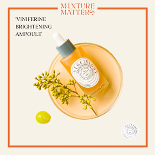 Vegetology - Viniferine Brightening Ampoule แอมพูล ขาวกระจ่างใส พร้อมกู้ผิวและริ้วรอย