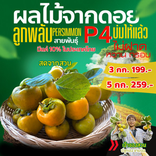 ลูกพลับ P4 สดจากสวนดอยห้วยน้ำขุ่น จ.เชียงราย ออร์แกนิค โตตามธรรมชาติ ลูกพลับสด ผลไม้เมืองหนาว ผลไม้เมืองเหนือ