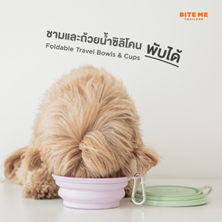 Bite Me Travel Water Cup and Travel Bowl Pastel ชามและถ้วยน้ำซิลิโคนพับได้นำเข้าจากเกาหลี 🇰🇷